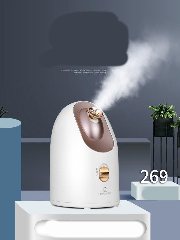 chaud et froid face steamer